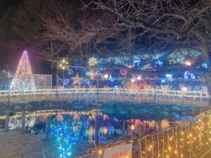 加齢とともに刻まれるシワを徹底予防！滑らかでハリツヤ感のあるお肌へ♡