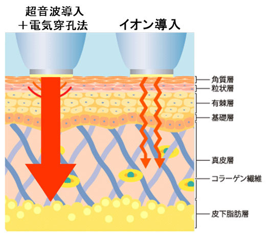 肌の浸透のイメージ