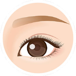 平行二重のイラスト