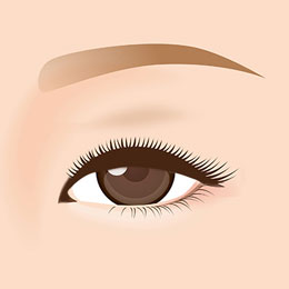 一重のイラスト