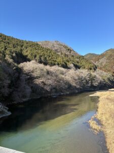 新年早々お肌トラブルは大丈夫！？スキンケアを見直そう💨
