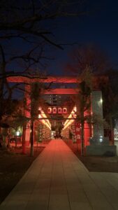 年末年始の疲れと肌荒れ、まとめてリセットしませんか？  ﹨ 💉 ∕