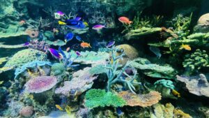 シミを作らない習慣☀️今から始めたい紫外線対策