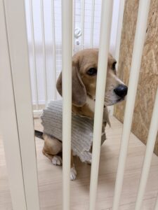 今からボトックスでシワ予防♡ハリのあるお肌へ