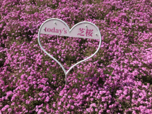 🌸GWで肌が老ける！？連休中にやりがちなNG習慣🌸