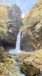 春の油断が肌を老けさせる？桜の季節紫外線要注意
