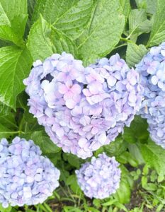 疲れた体を内側からサポート♡疲労回復注射