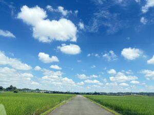 夏の肌疲れに♡ケミカルピーリングでつるんと明るい肌へ