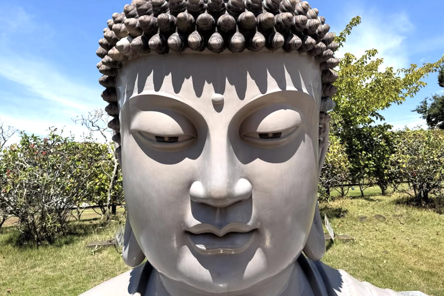 夏休みに千葉・茨城へ！牛久大仏の「半眼」と醤油工場で見つけた小さな発見